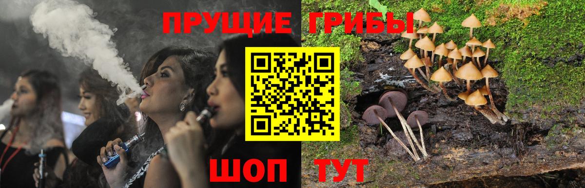 Псилоцибиновые грибы Psilocybine cubensis  Вход с VPN  Мытищи 